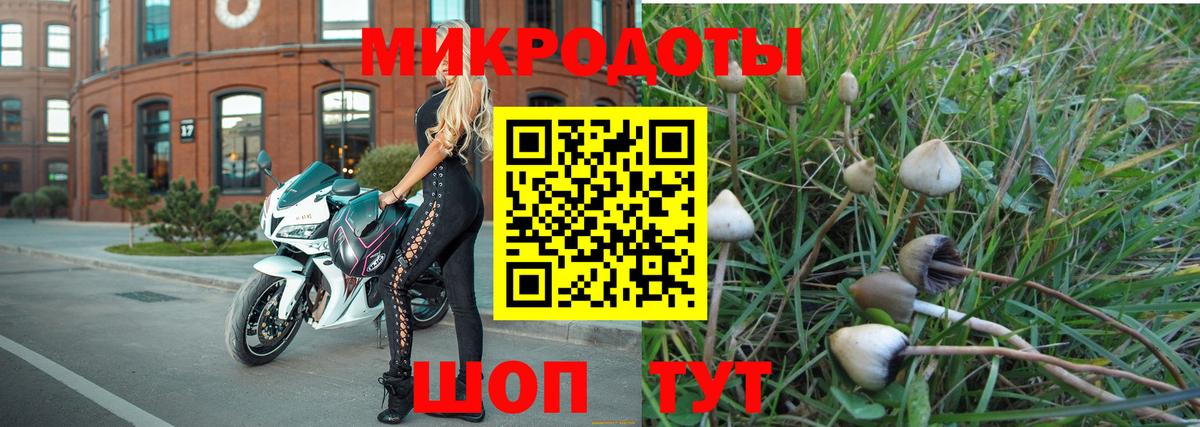 Псилоцибиновые грибы мицелий  Вход с VPN  где купить наркоту  Муравленко  Псилоцибиновые грибы MAGIC MUSHROOMS 